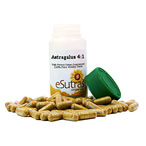 Astragalus Extract 4:1 - 30 ct