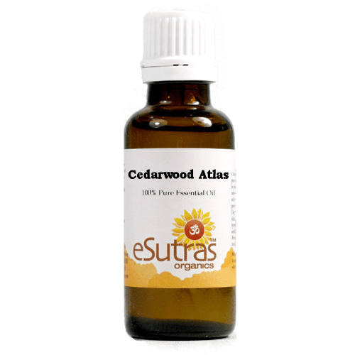 Cedarwood Atlas e.o. - 15 ml