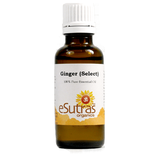 Ginger (Select) e.o. - 15 ml